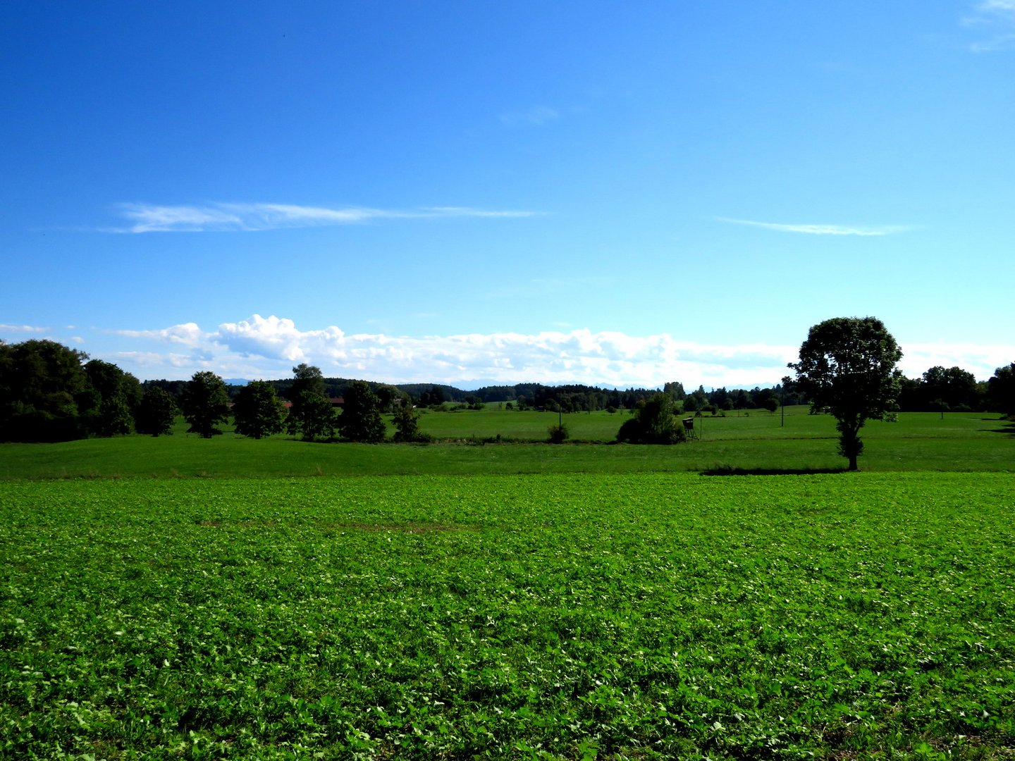 Fahrrafrour Tutzing nach Andechs