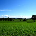 Fahrrafrour Tutzing nach Andechs