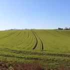 Fahrrinne im Feld