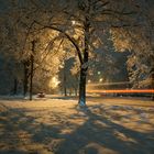 Fahrspass im Neuschnee