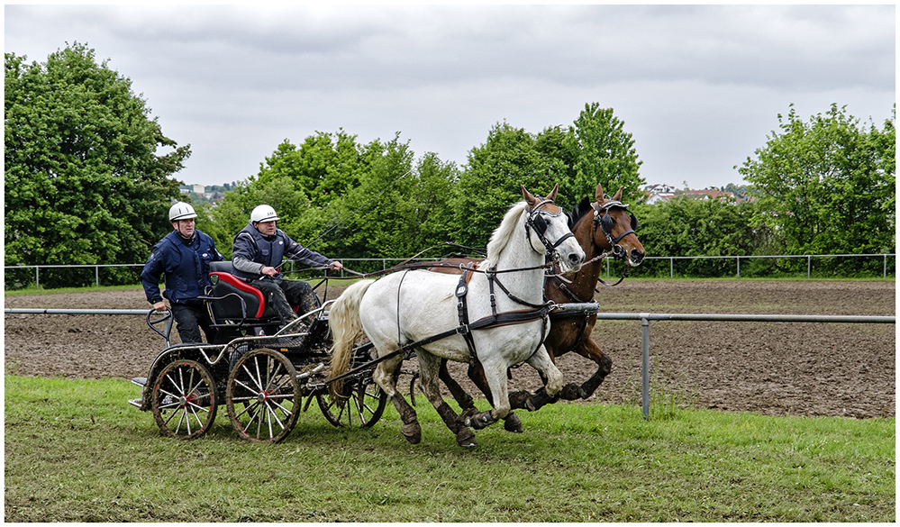 Fahrsport bei jedem Wetter 1