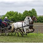 Fahrsport bei jedem Wetter 1