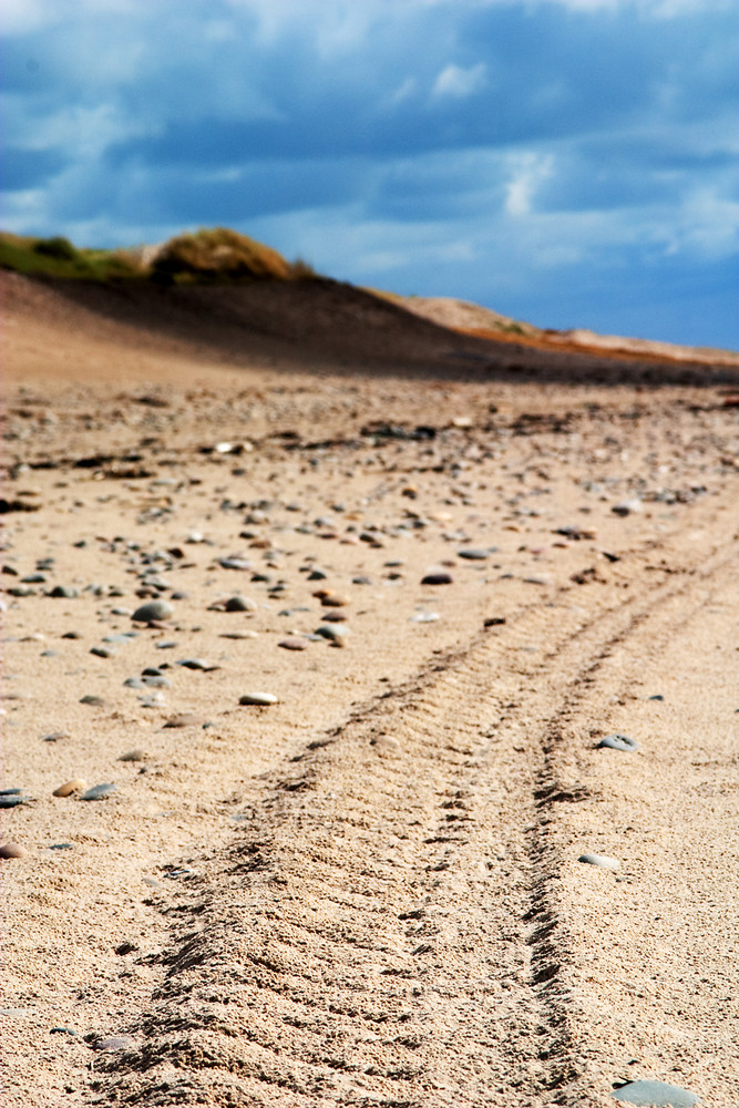 Fahrspuren am Nordseestrand (Dänemark)