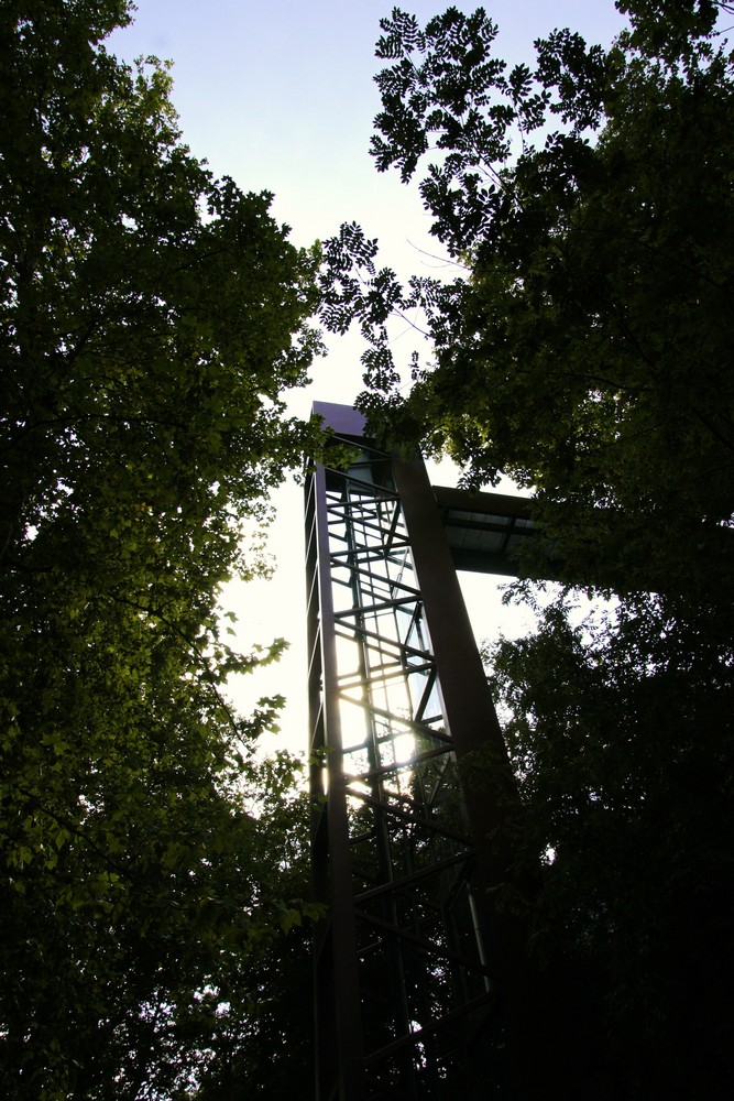 Fahrstuhl im Wald