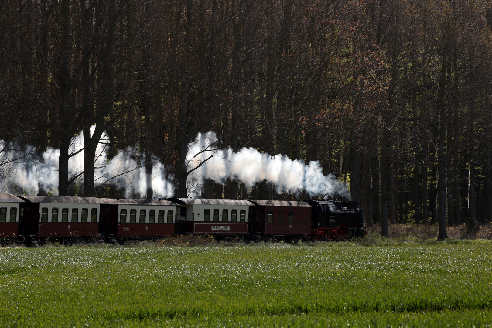 Fahrt am Waldrand