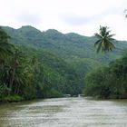 Fahrt auf dem Loboc River