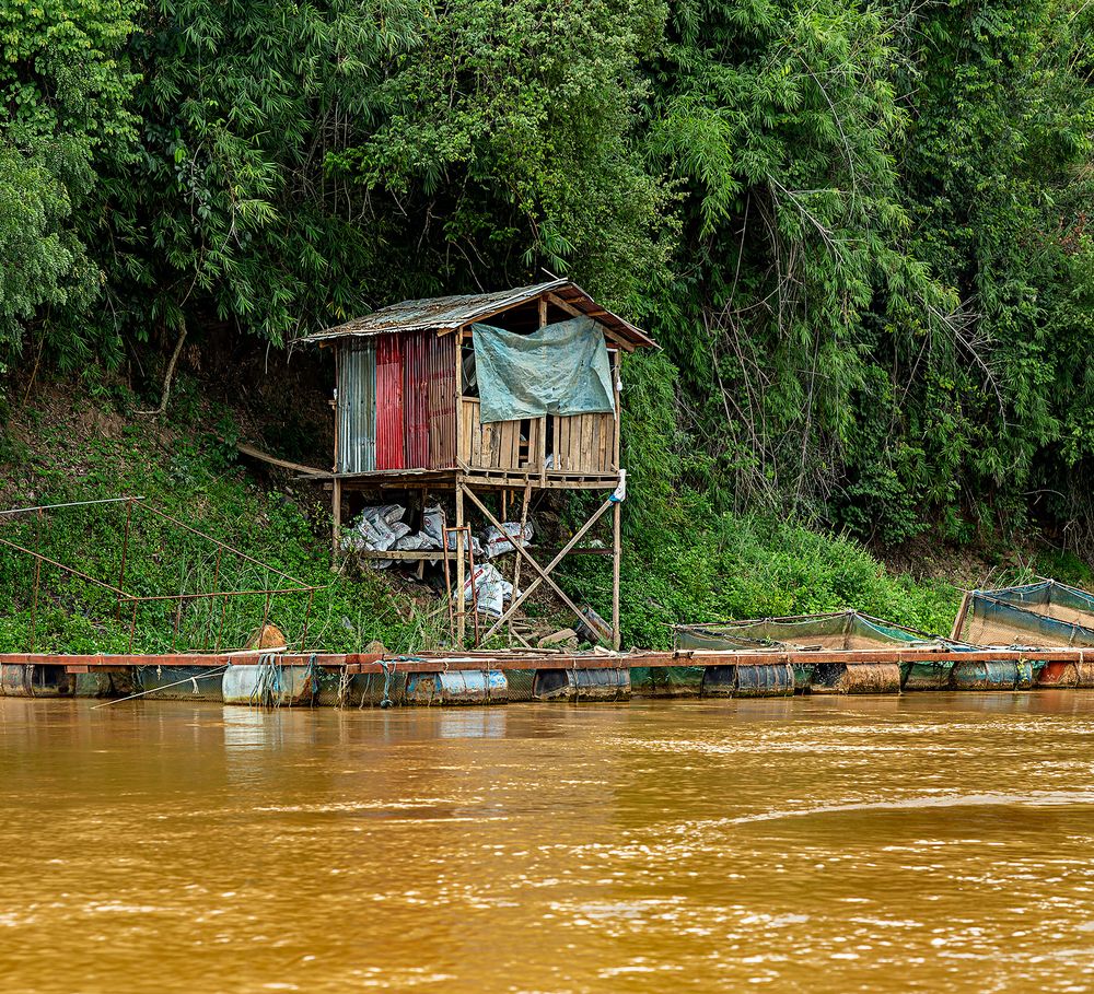 Fahrt auf dem Mekong #8