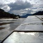 Fahrt auf dem Mekong