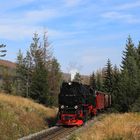 Fahrt auf den Brocken 03