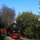 Fahrt auf den Brocken 07