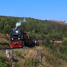 Fahrt auf den Brocken 11