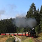 Fahrt auf den Brocken 12