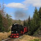 Fahrt auf den Brocken 14