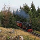 Fahrt auf den Brocken 15