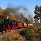 Fahrt auf den Brocken 28