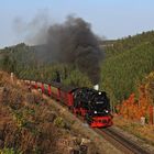 Fahrt auf den Brocken 31