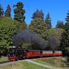 Fahrt auf den Brocken 34