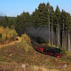 Fahrt auf den Brocken 38