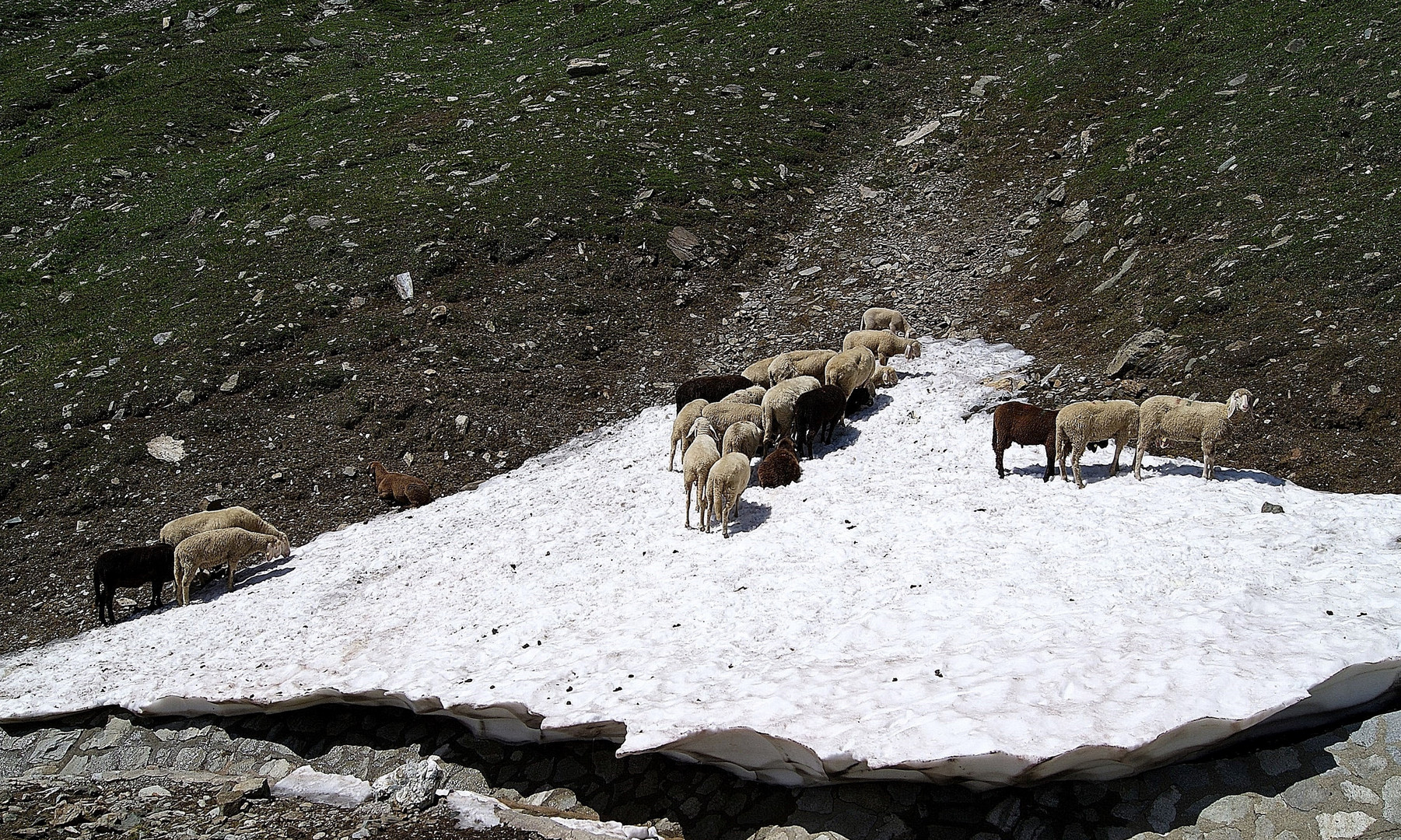 Fahrt auf der Großglockner Hochalpenstraße (7)