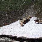 Fahrt auf der Großglockner Hochalpenstraße (7)