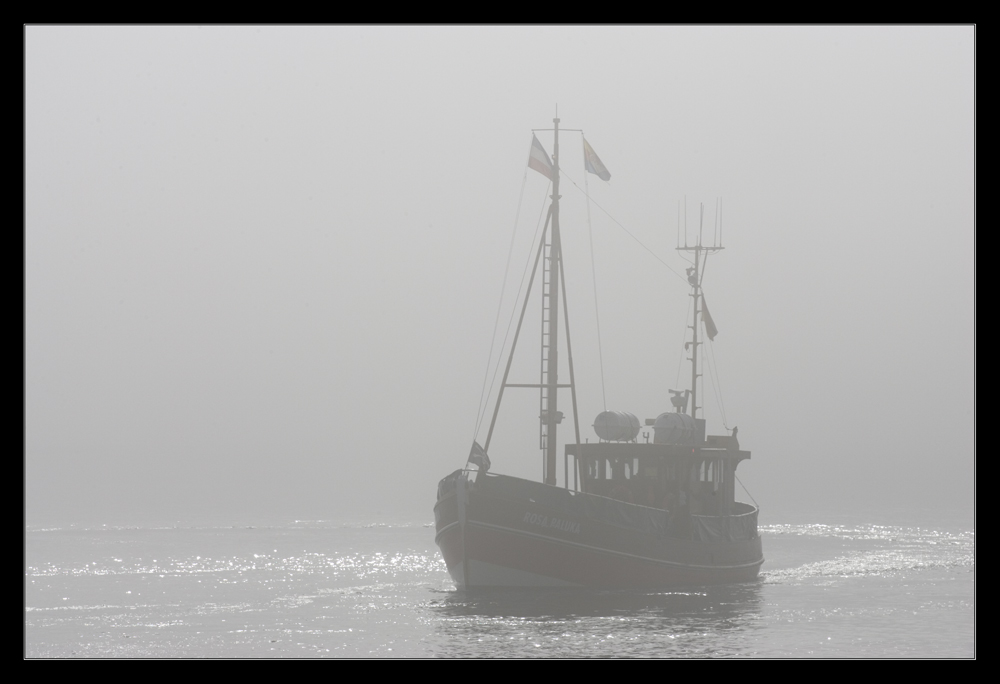 Fahrt aus dem Nebel