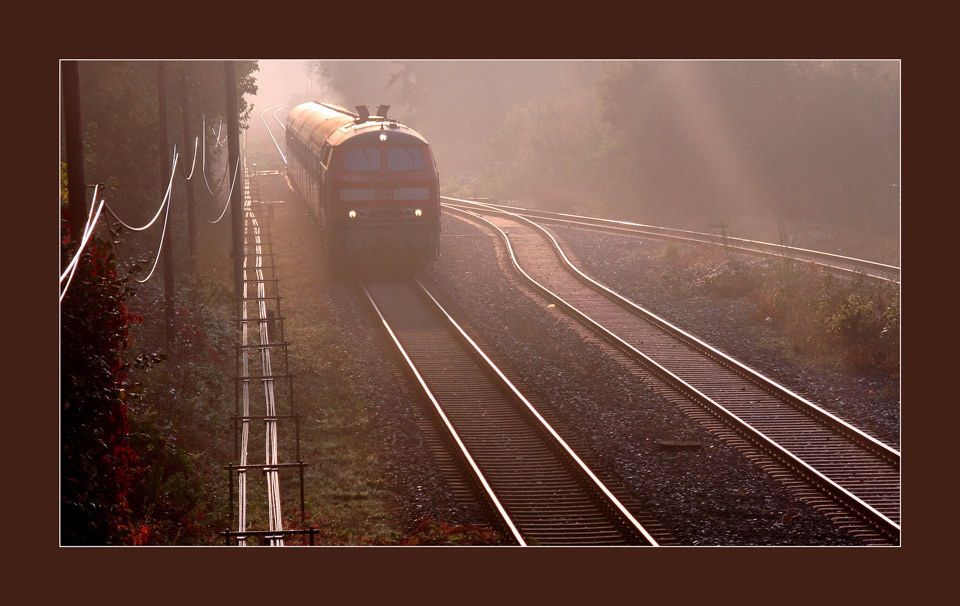 Fahrt aus dem Nebel