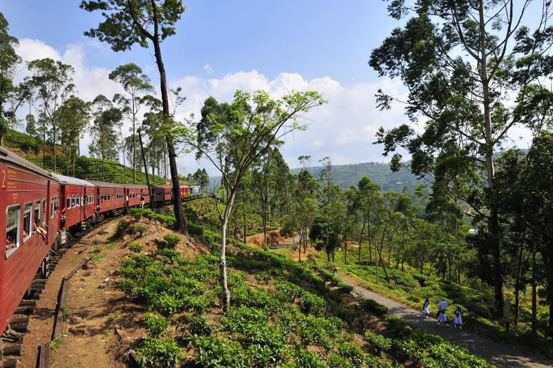 Fahrt durch das Hochland Sri Lankas