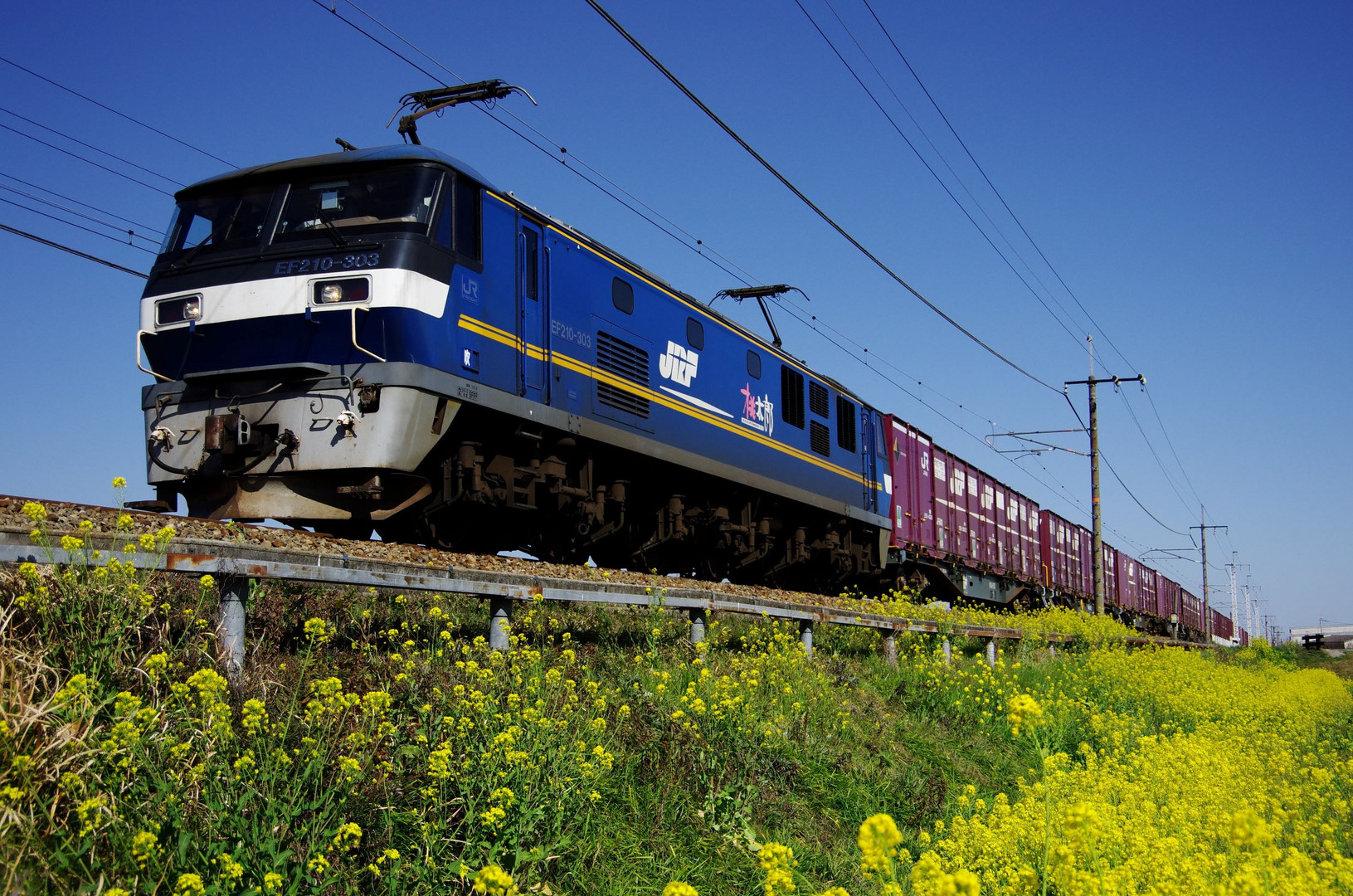 Fahrt durch den Frühling