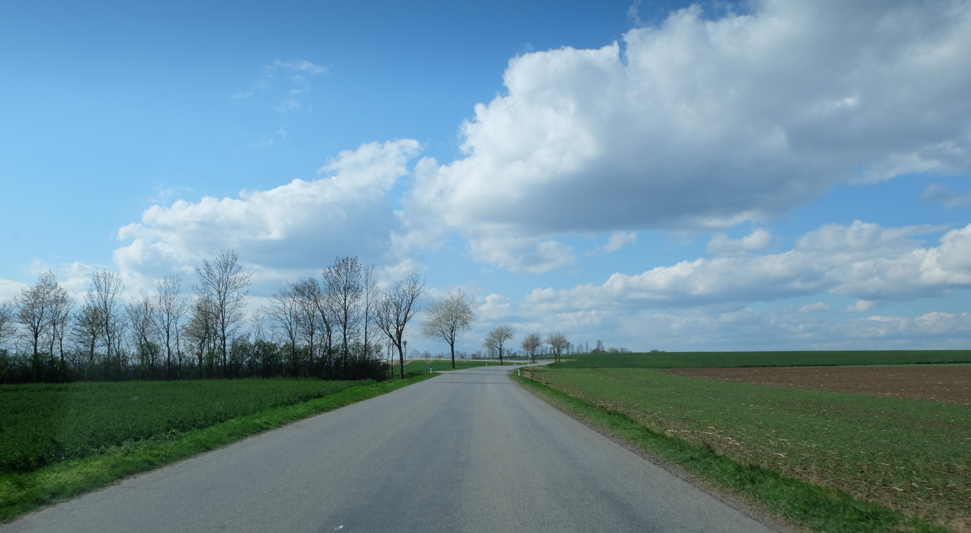 Fahrt durch den Frühling