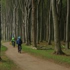 Fahrt durch den Gespensterwald