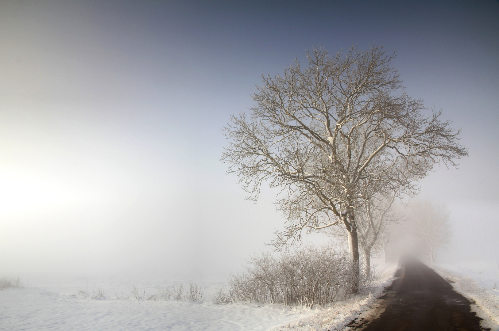 Fahrt durch den Nebel