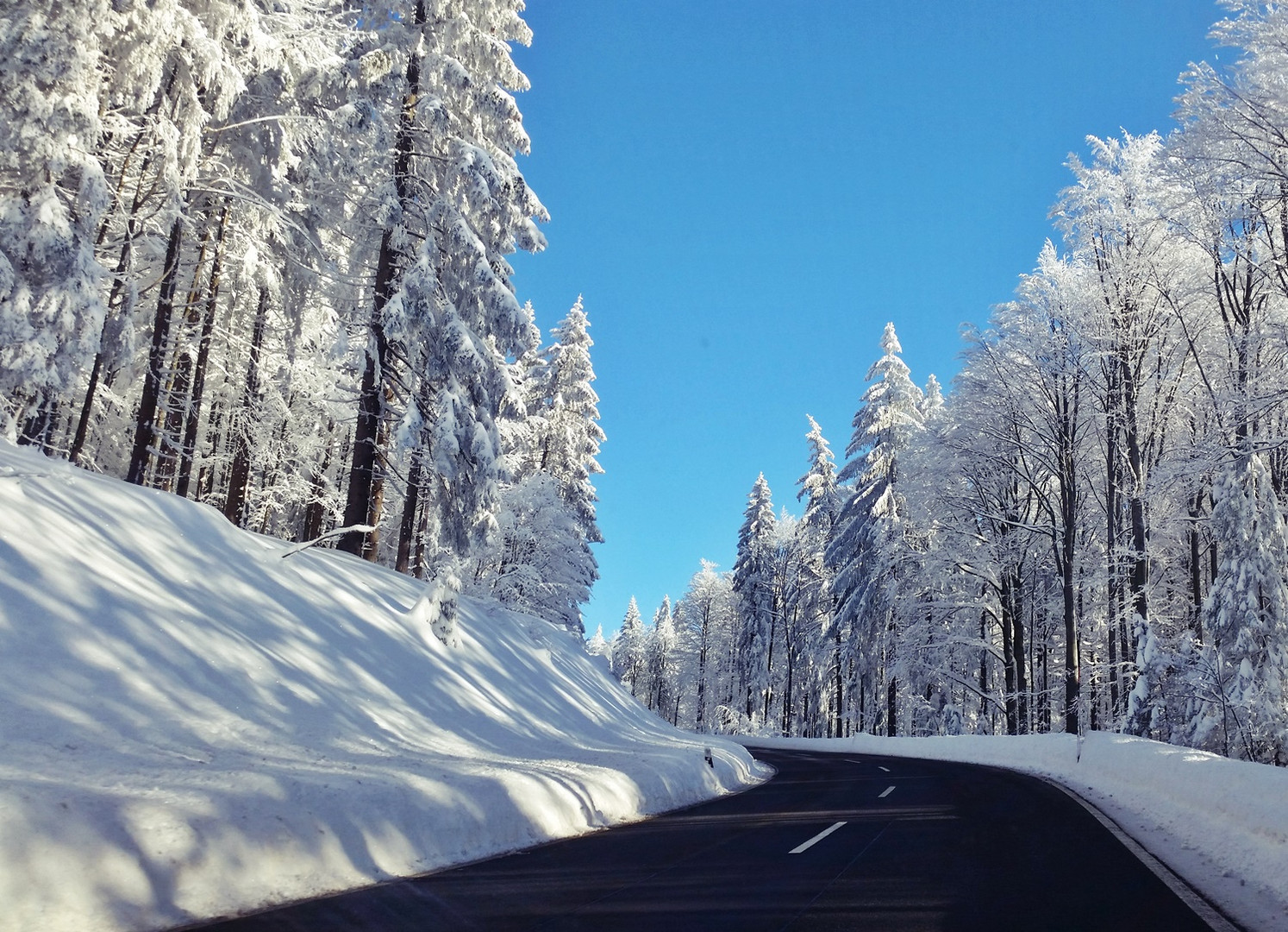 Fahrt durch den Winterwald