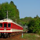 Fahrt durch grünen Wald