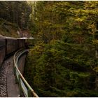 Fahrt durchs herbstliche Ötscherland