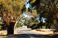 Fahrt durchs McLaren Vale