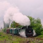 Fahrt frei für Bulgarien 2014