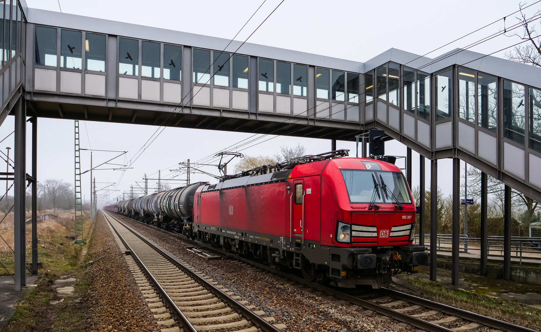 Fahrt im Gegengleis