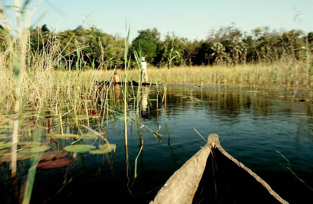 Fahrt im Mokoro im Okavangodelta