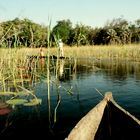 Fahrt im Mokoro im Okavangodelta