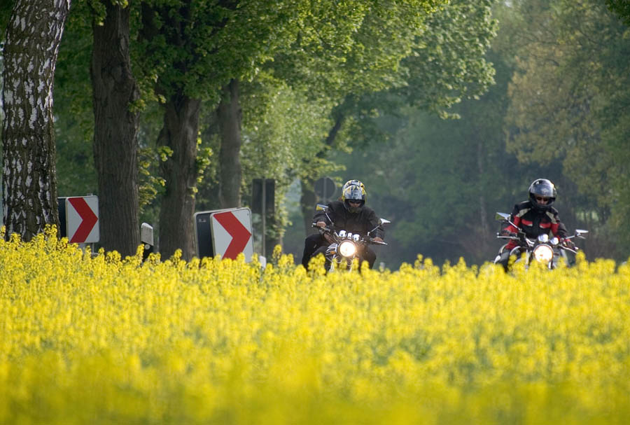 Fahrt in den Frühling