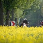 Fahrt in den Frühling