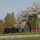 Fahrt in den Frühling