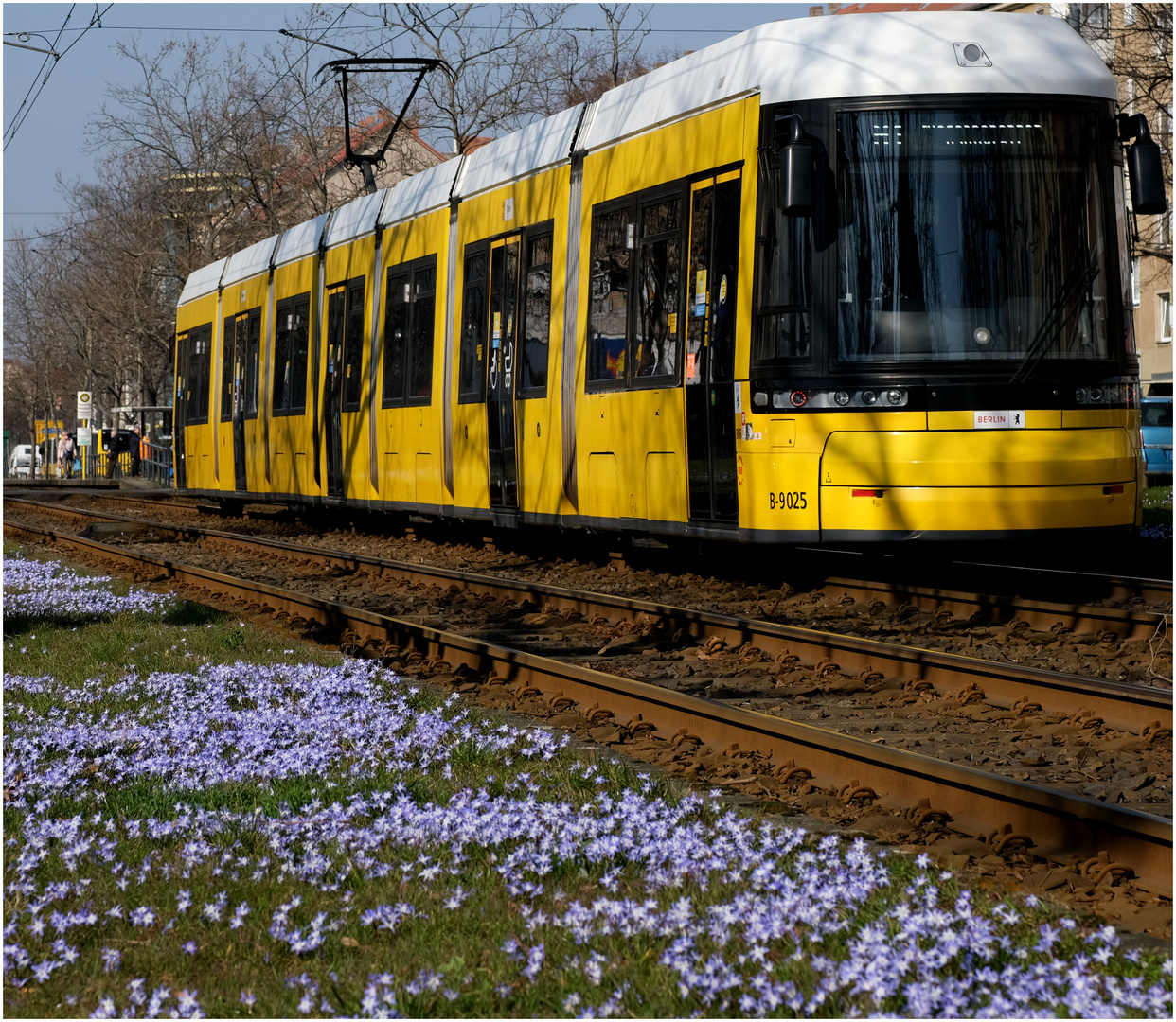 Fahrt in den Frühling