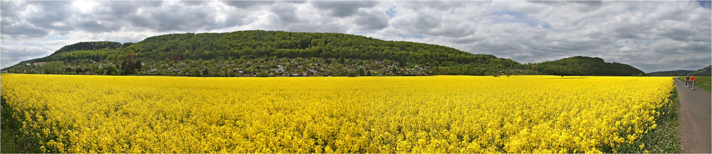 Fahrt in den Frühling