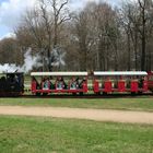 Fahrt in den Frühling mit der Parkeisenbahn Cottbus