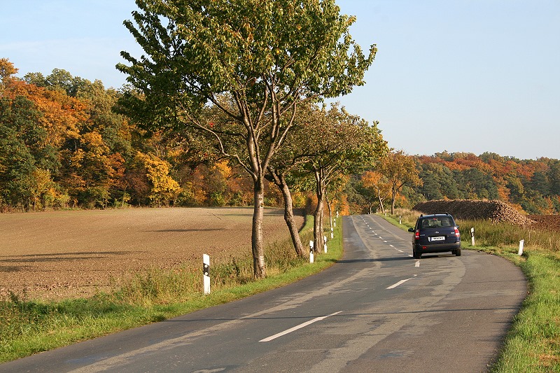 Fahrt in den Herbst