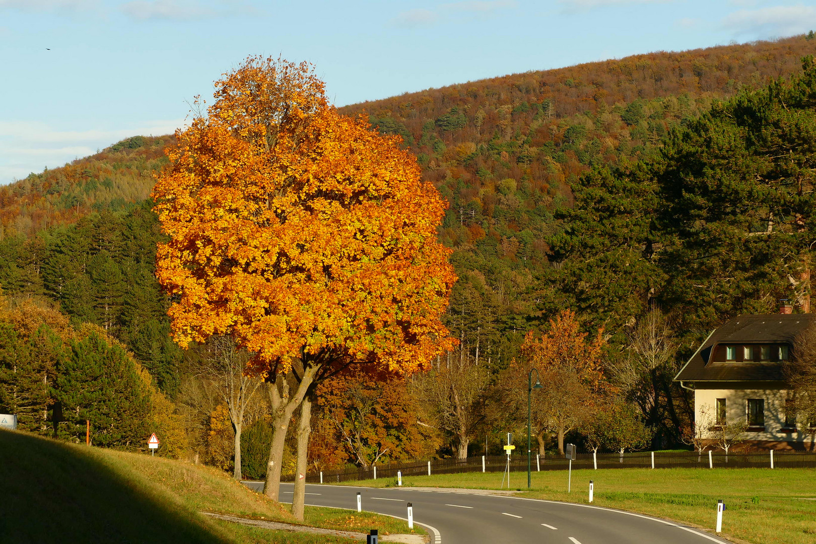 Fahrt in den Herbst