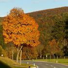 Fahrt in den Herbst