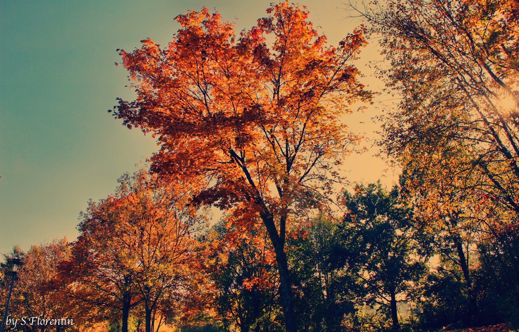 Fahrt in den Herbst