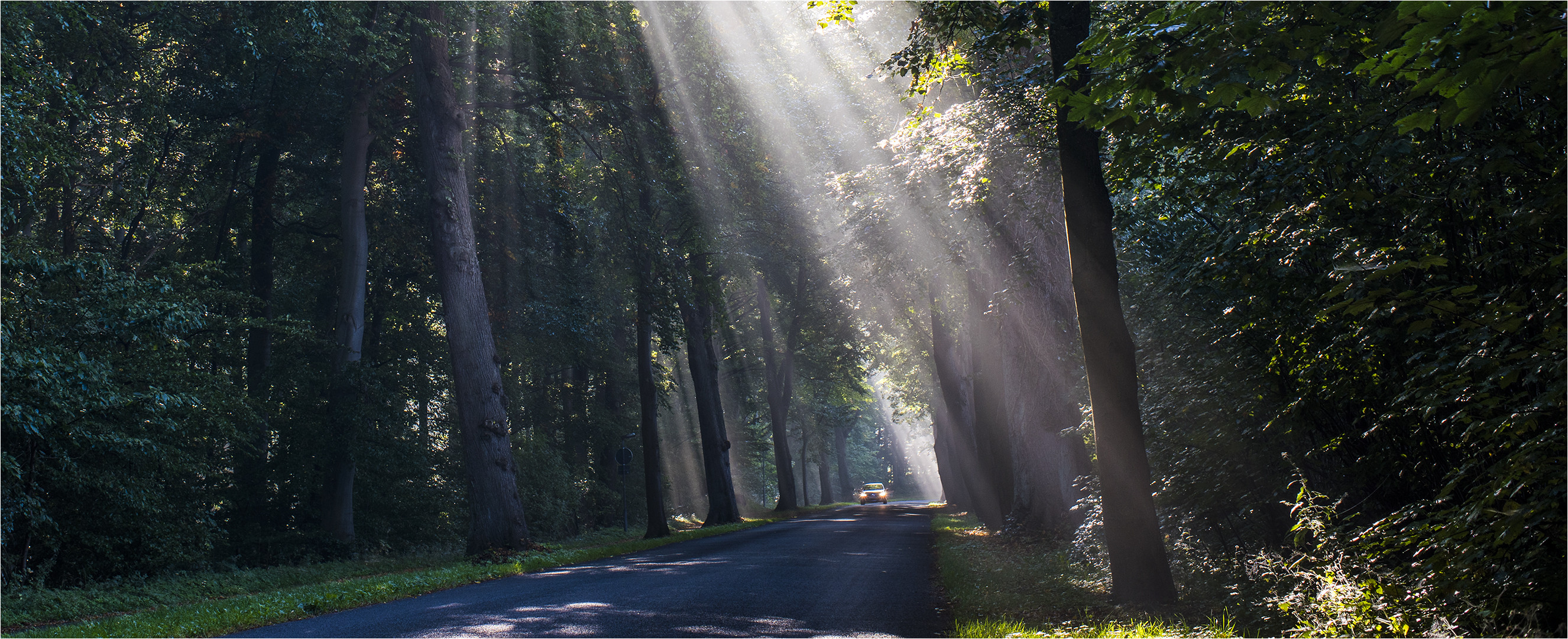 … Fahrt in den Herbst …